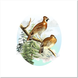 Partridges Wildlife Illustration Posters and Art